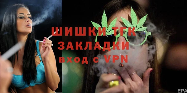 стаф Заводоуковск